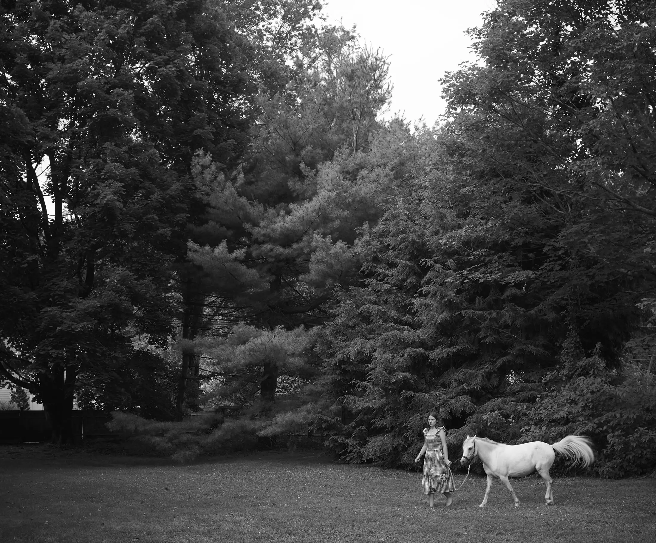 A woman in a patterned dress leads a white horse across a grassy field. Tall trees with dense foliage surround them, creating a natural, serene backdrop. The image is in black and white, highlighting the contrast between the subjects and their surroundings.