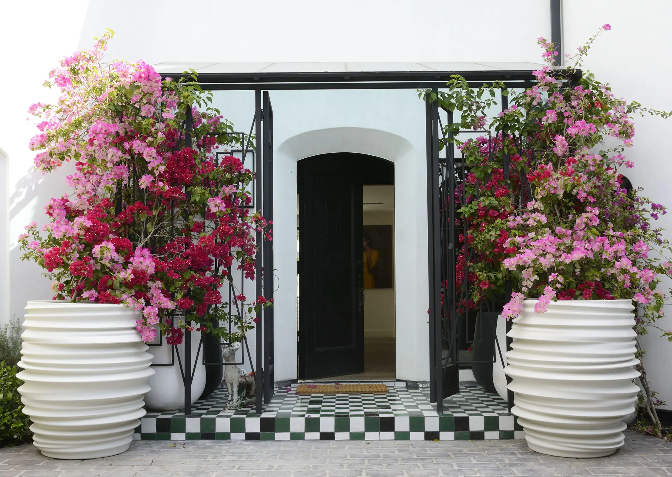 A white building entrance with a black door is framed by large, ribbed white planters containing vibrant pink and red flowering plants. The floor features green and white checkered tiles, and a small striped cat stands near the doorway.