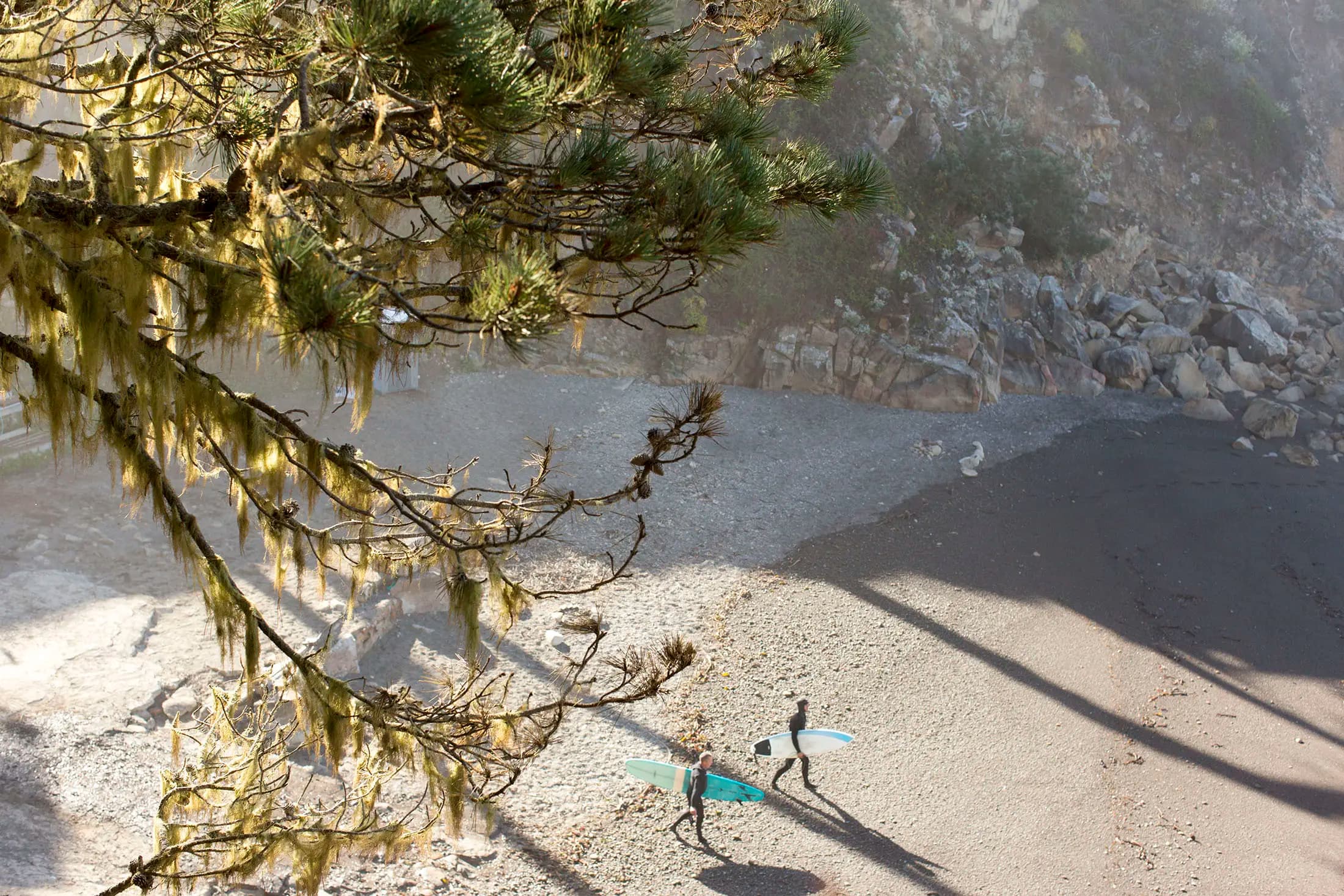 Two surfers with surfboards walk along a foggy beach towards the ocean. The foreground features a tree branch with green foliage draped in moss. Rough rock formations rise on the right, casting long shadows on the sandy shore. The scene has a serene, early morning ambiance.